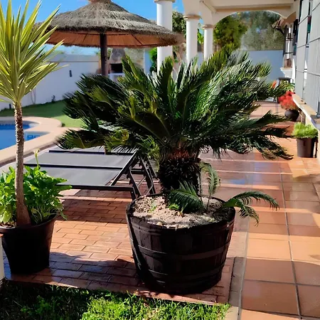 Grande Con Piscina Parejas Y Familias Holiday home Conil De La Frontera