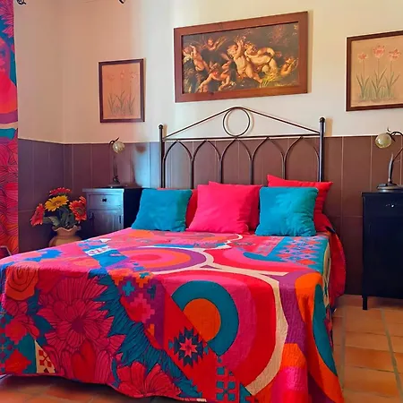 Grande Con Piscina Parejas Y Familias Holiday home Conil De La Frontera